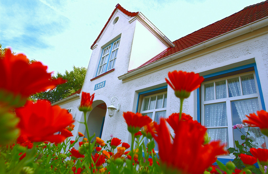 Ferienhaus Silbermöwe Aussenfoto mit Eingang und roten Blumen im Vordergrund