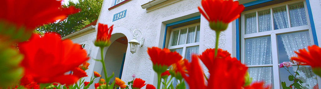 Ferienhaus Silbermöwe Aussenfoto mit Eingang und roten Blumen im Vordergrund